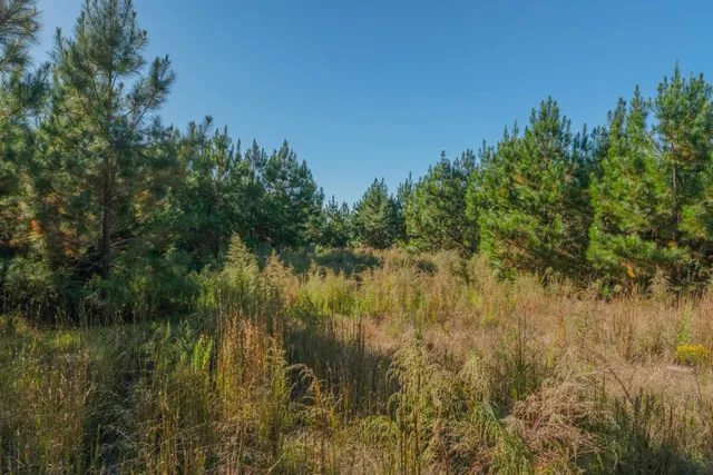 $469,500 | 0 Quarter Round Road, Pacolet, SC 29372