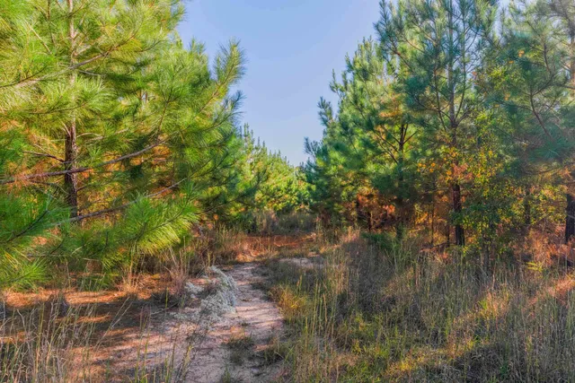 $469,500 | 0 Quarter Round Road, Pacolet, SC 29372