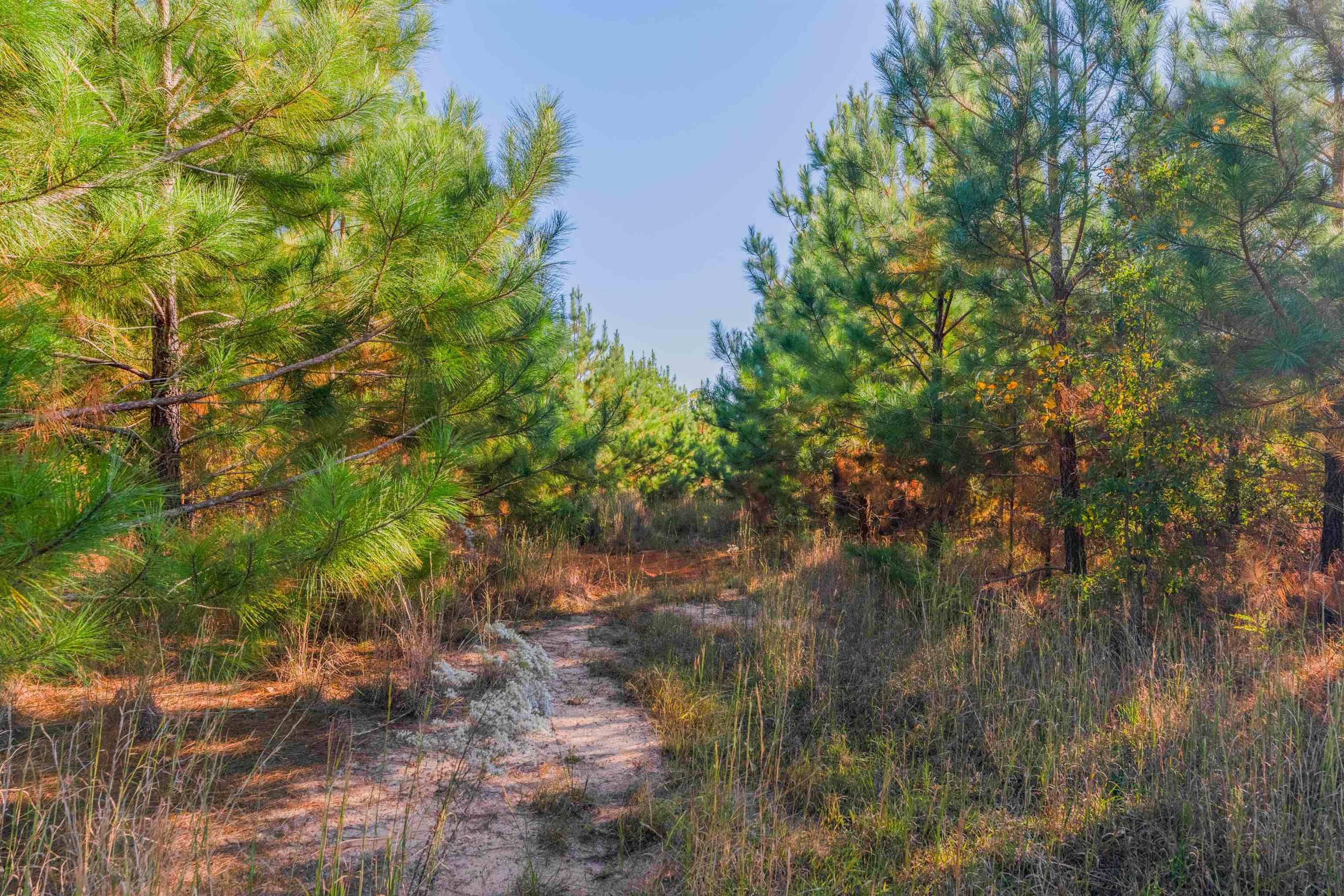 0 Quarter Round Road Pacolet, SC 29372 - Photo 14 of 25