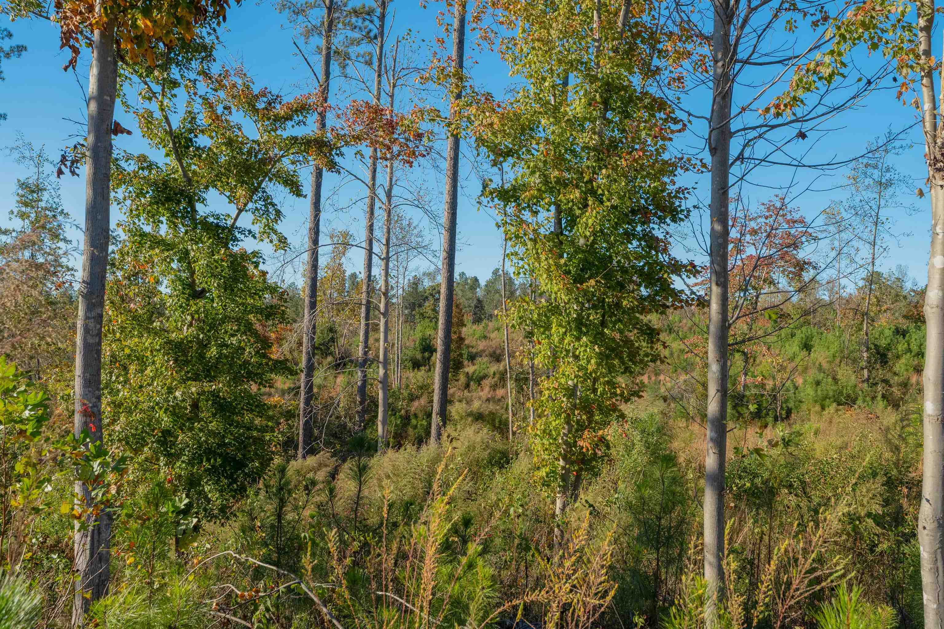 0 Quarter Round Road Pacolet, SC 29372 - Photo 17 of 25
