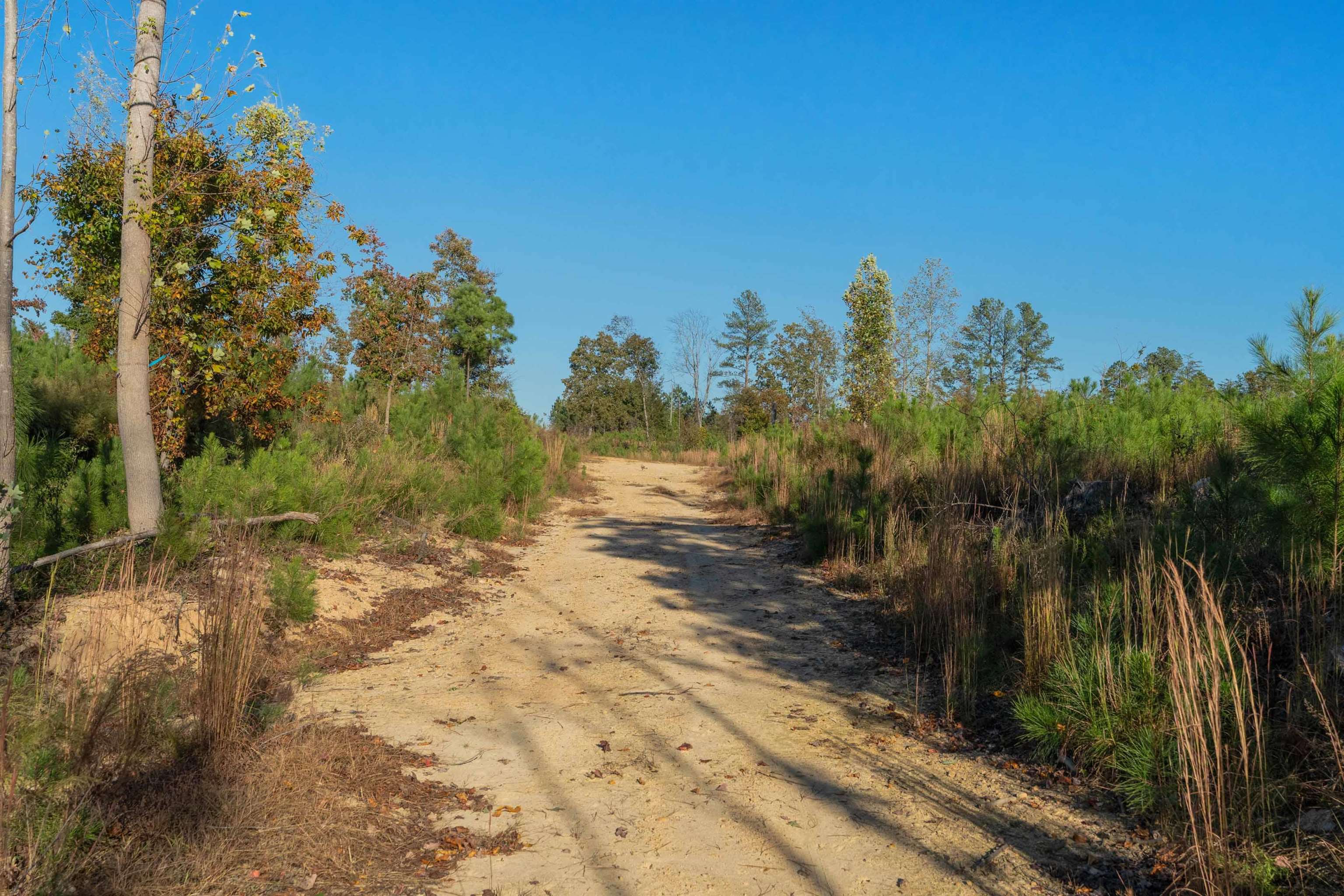 0 Quarter Round Road Pacolet, SC 29372 - Photo 18 of 25