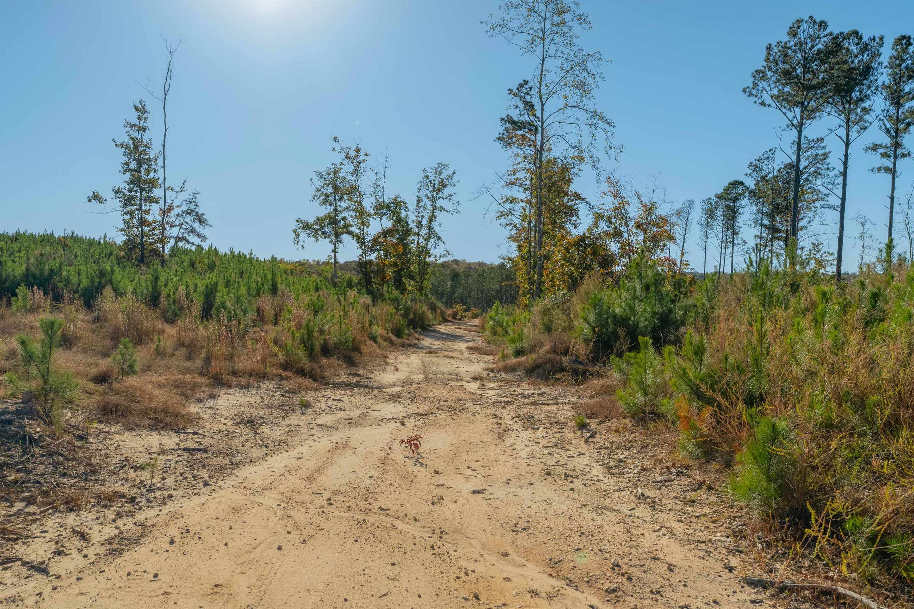 0 Quarter Round Road Pacolet, SC 29372 - Photo 19 of 25