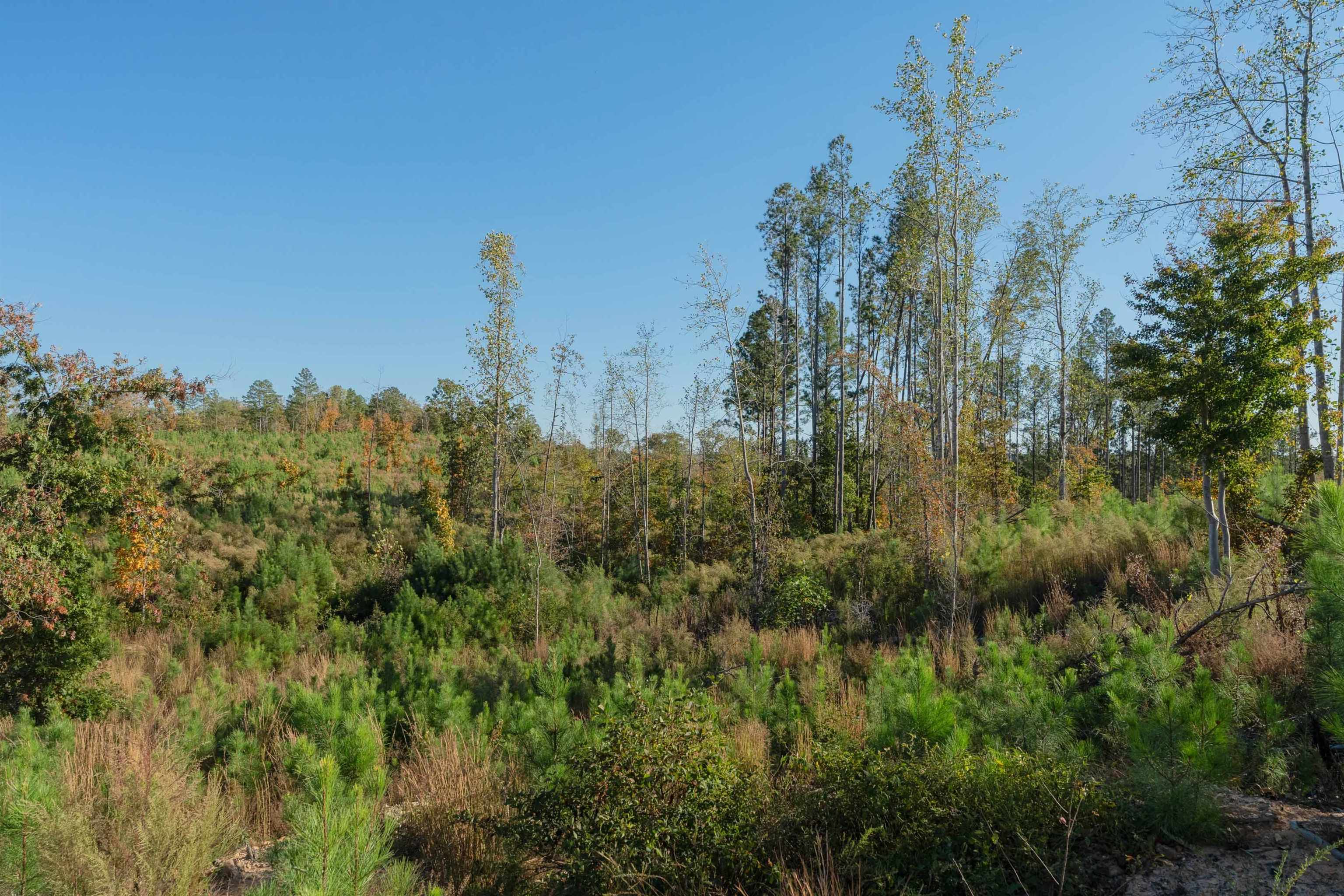 0 Quarter Round Road Pacolet, SC 29372 - Photo 20 of 25