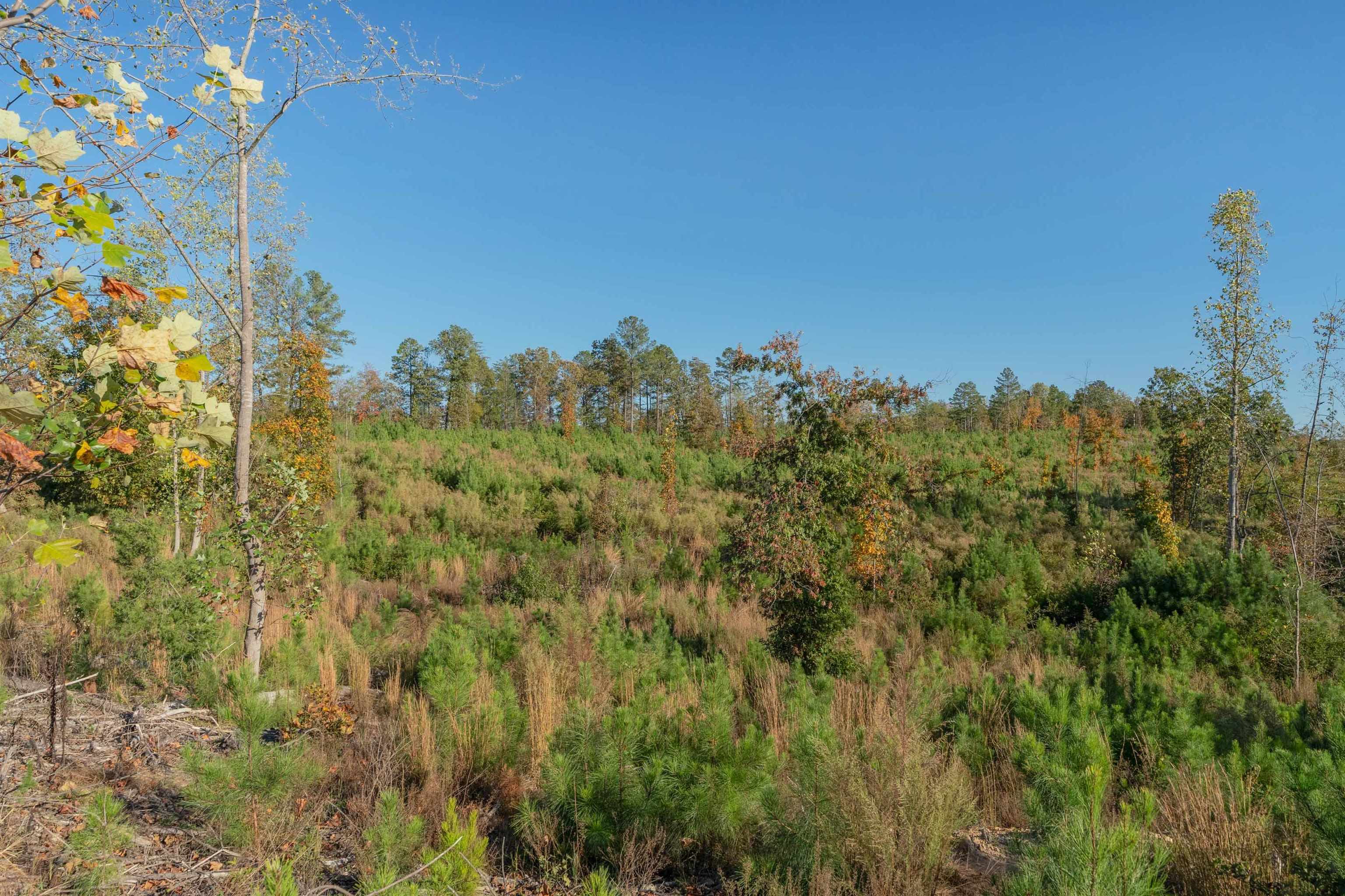 0 Quarter Round Road Pacolet, SC 29372 - Photo 21 of 25