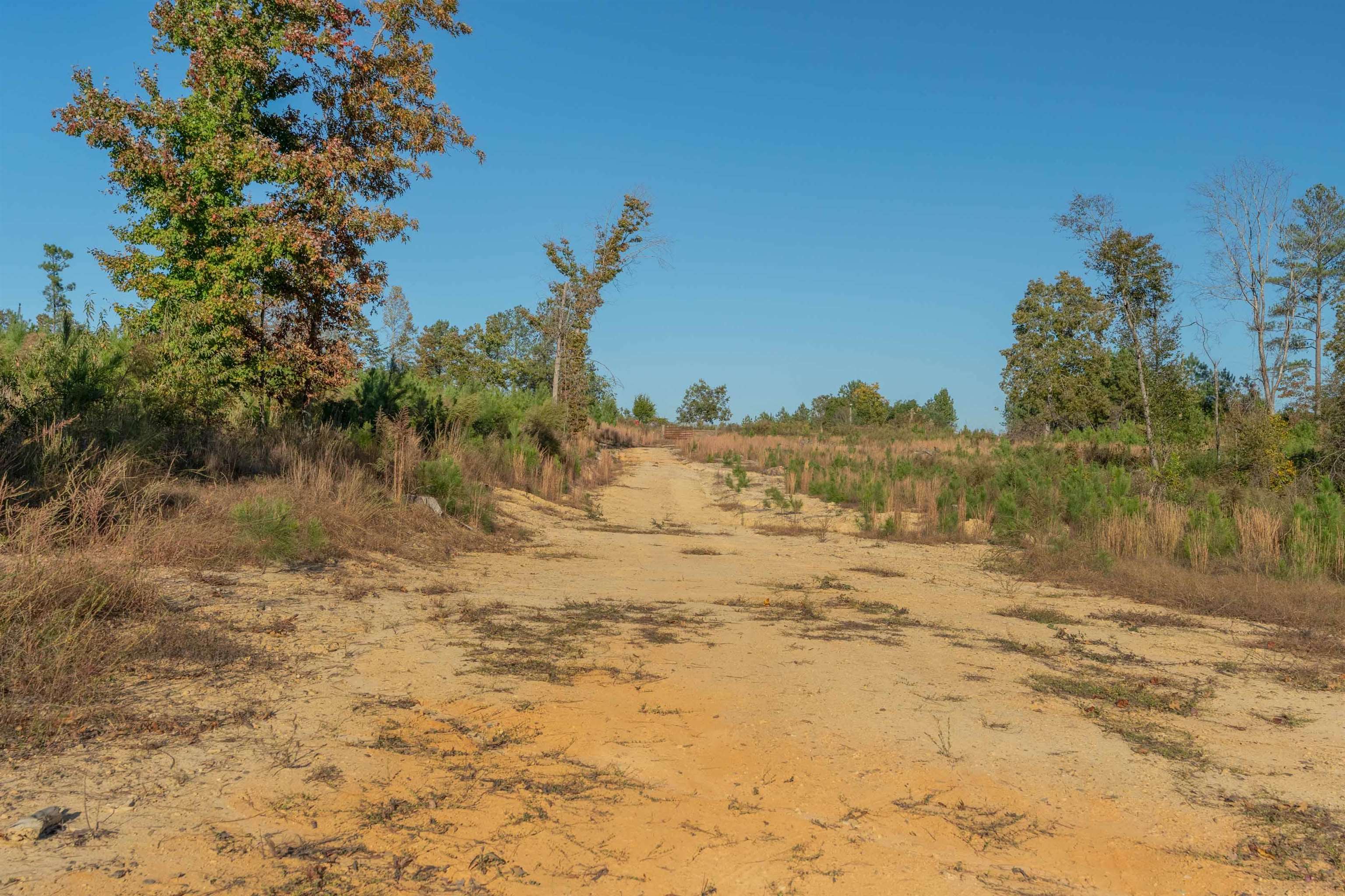 0 Quarter Round Road Pacolet, SC 29372 - Photo 22 of 25