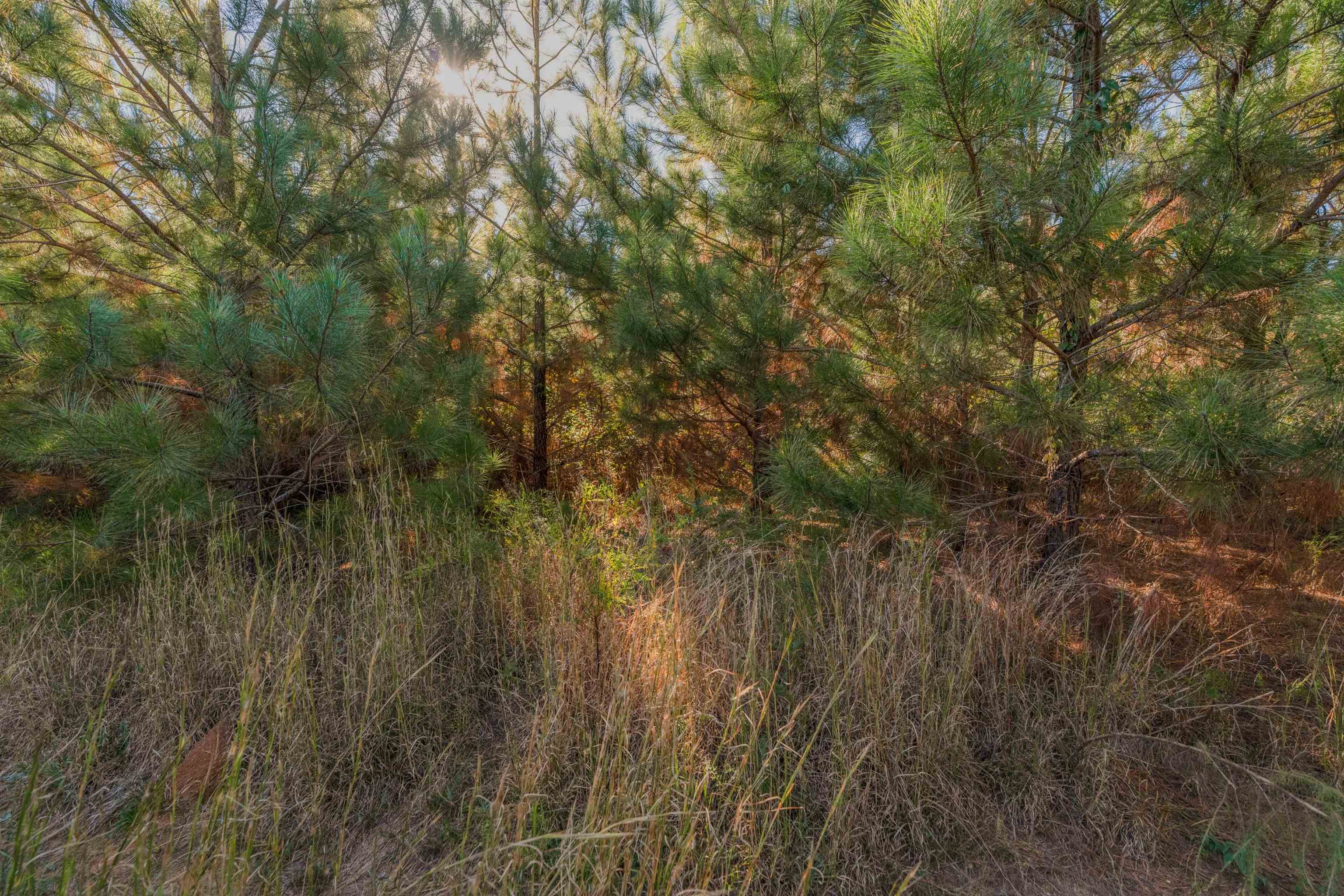 0 Quarter Round Road Pacolet, SC 29372 - Photo 24 of 25