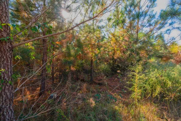 $469,500 | 0 Quarter Round Road, Pacolet, SC 29372
