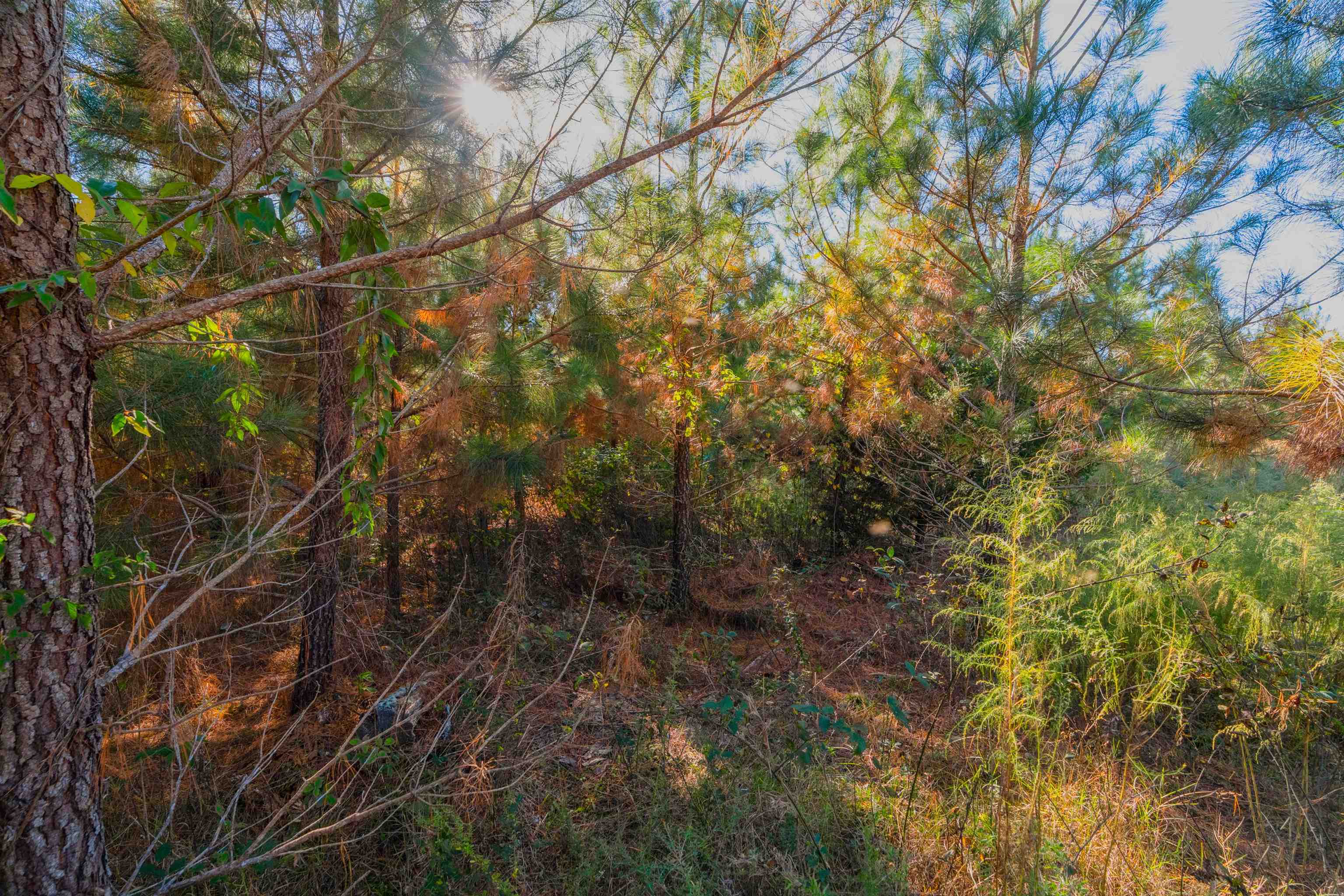 0 Quarter Round Road Pacolet, SC 29372 - Photo 25 of 25