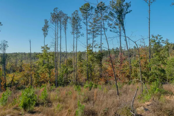 $469,500 | 0 Quarter Round Road, Pacolet, SC 29372