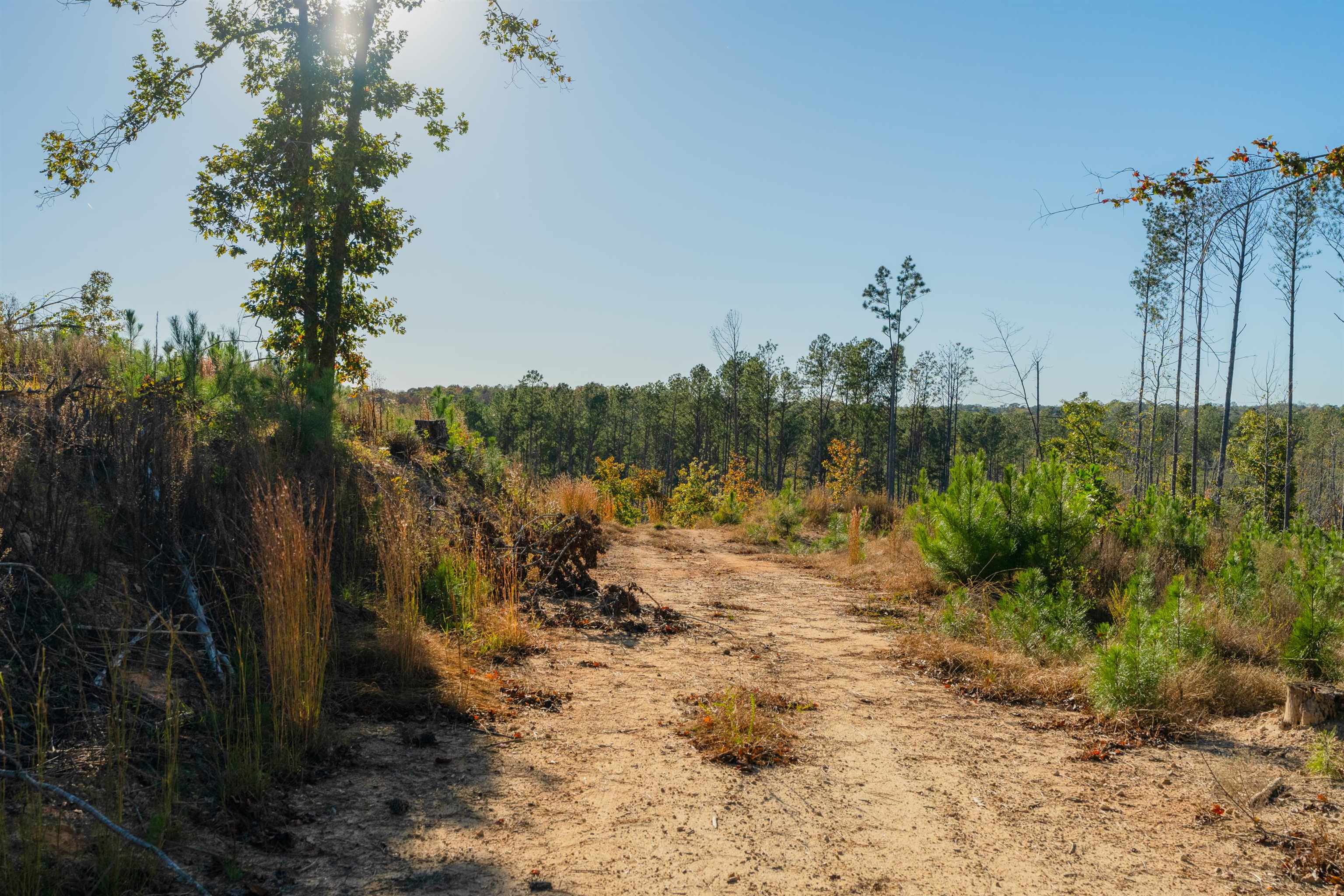 0 Quarter Round Road Pacolet, SC 29372 - Photo 6 of 25