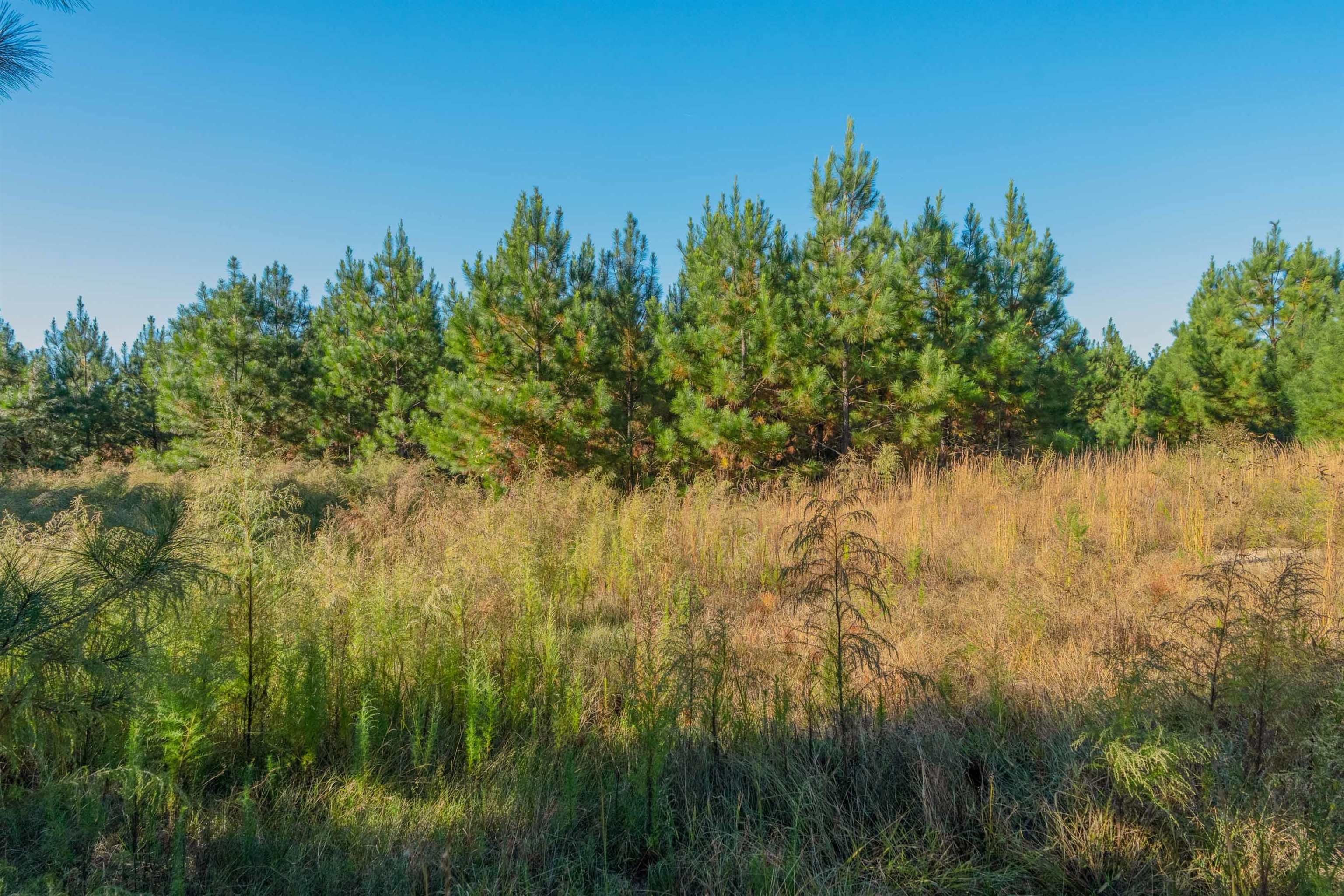 0 Quarter Round Road Pacolet, SC 29372 - Photo 8 of 25