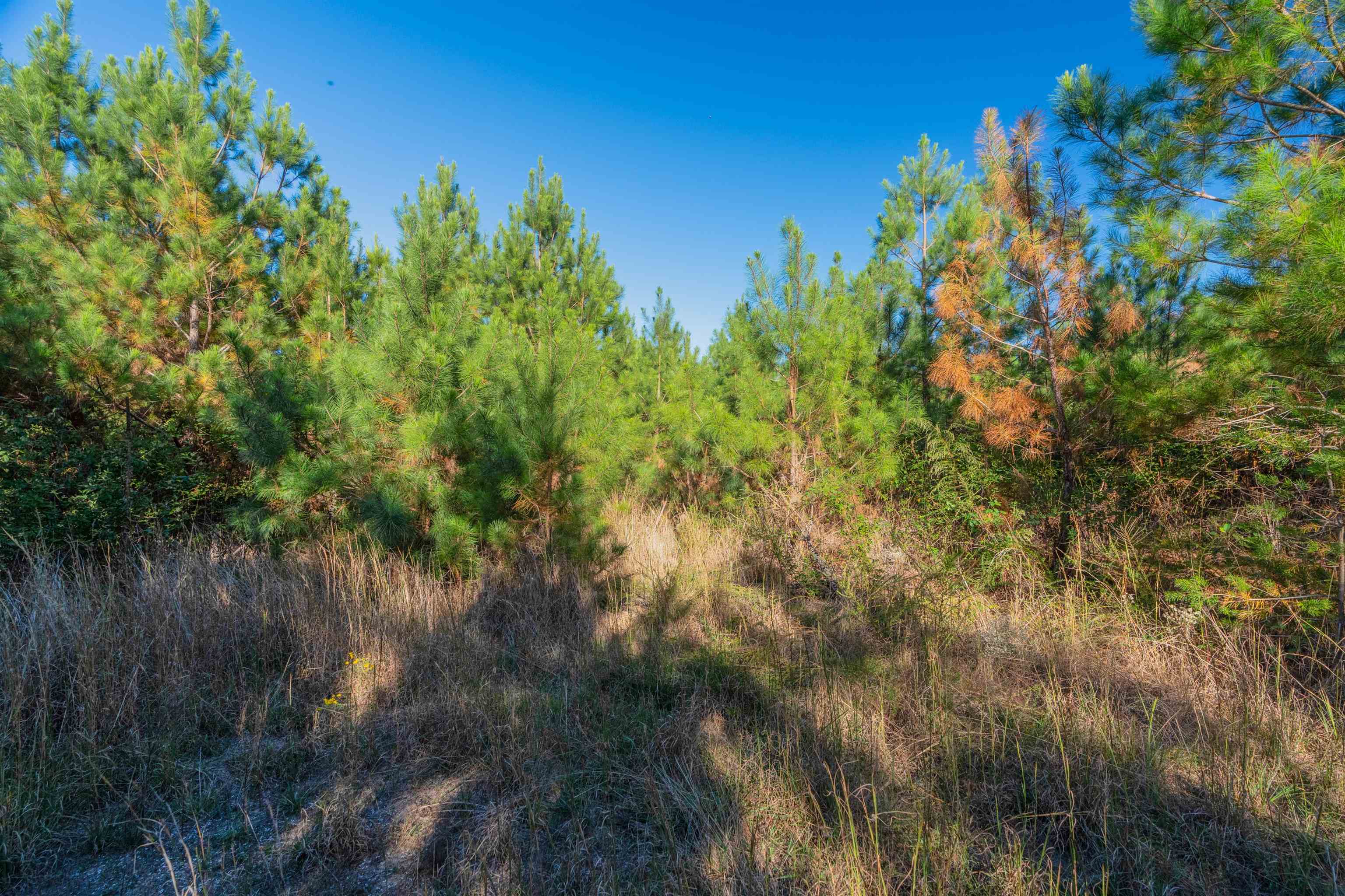 0 Quarter Round Road Pacolet, SC 29372 - Photo 9 of 25
