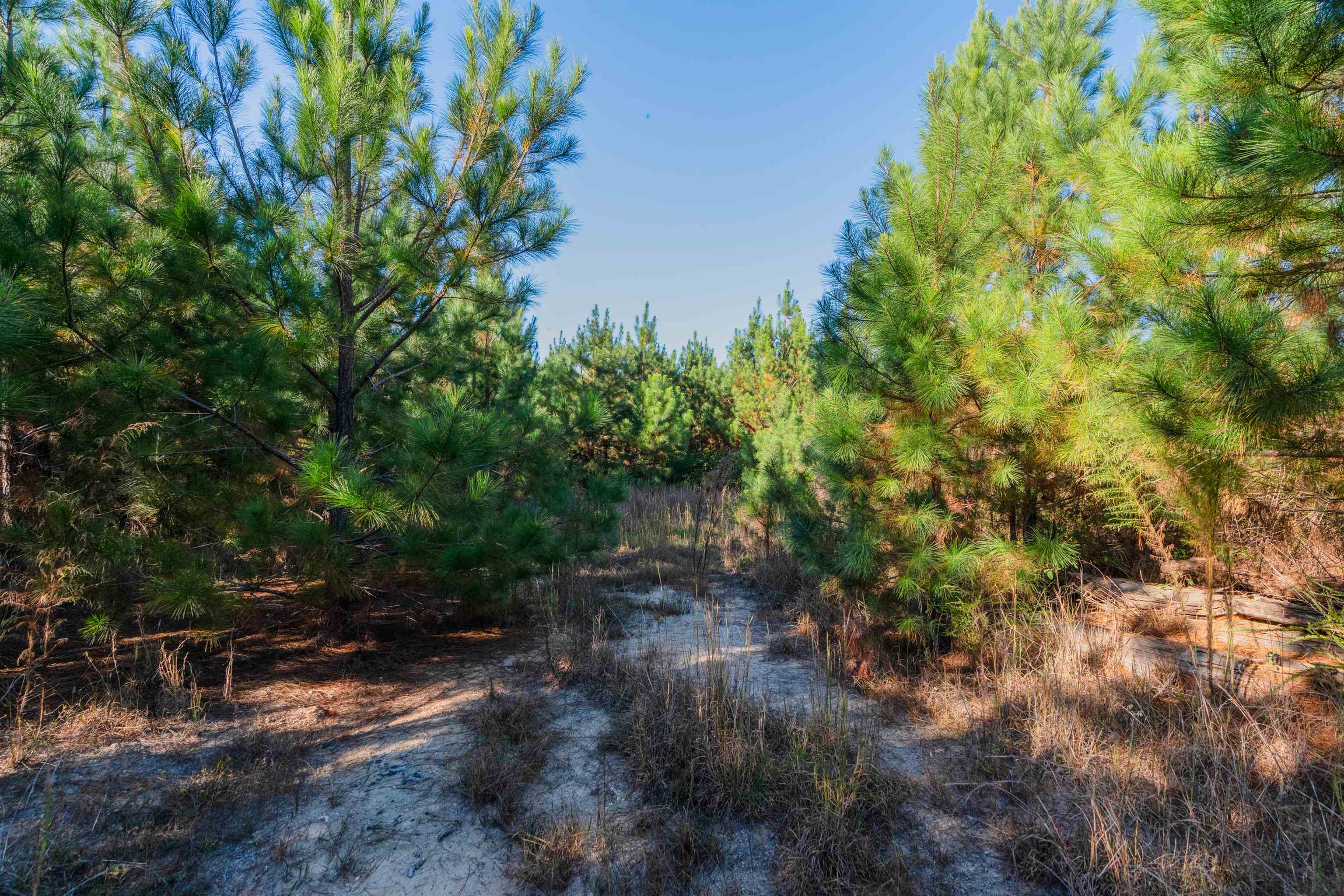 0 Quarter Round Road Pacolet, SC 29372 - Photo 10 of 25