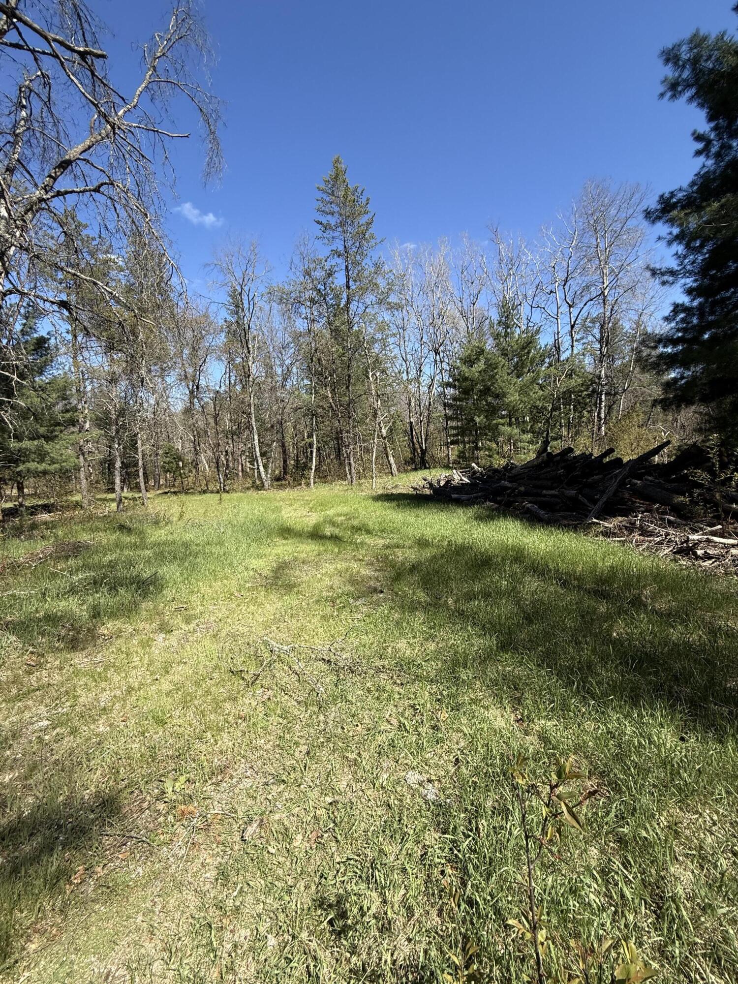 4097 South Michway Road Baldwin, MI 49304 - Photo 12 of 20 IMG_0537