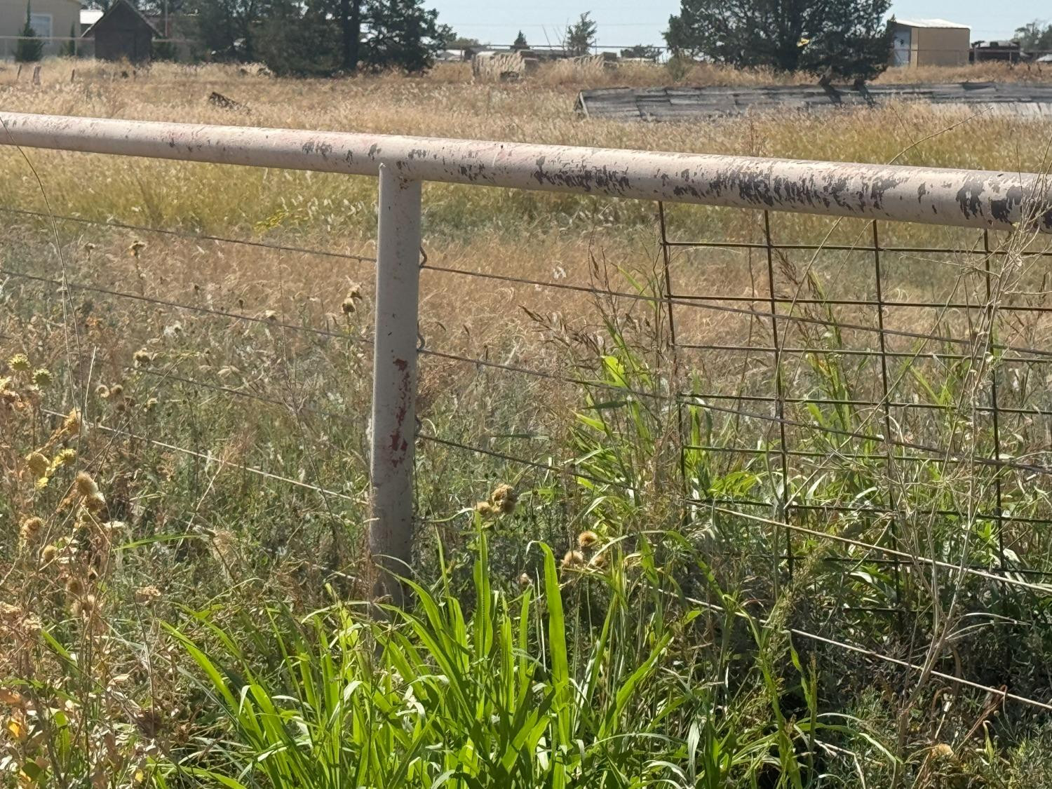 0 Fm 1264 Lubbock, TX 79415 - Photo 4 of 13 a bathroom with a shower