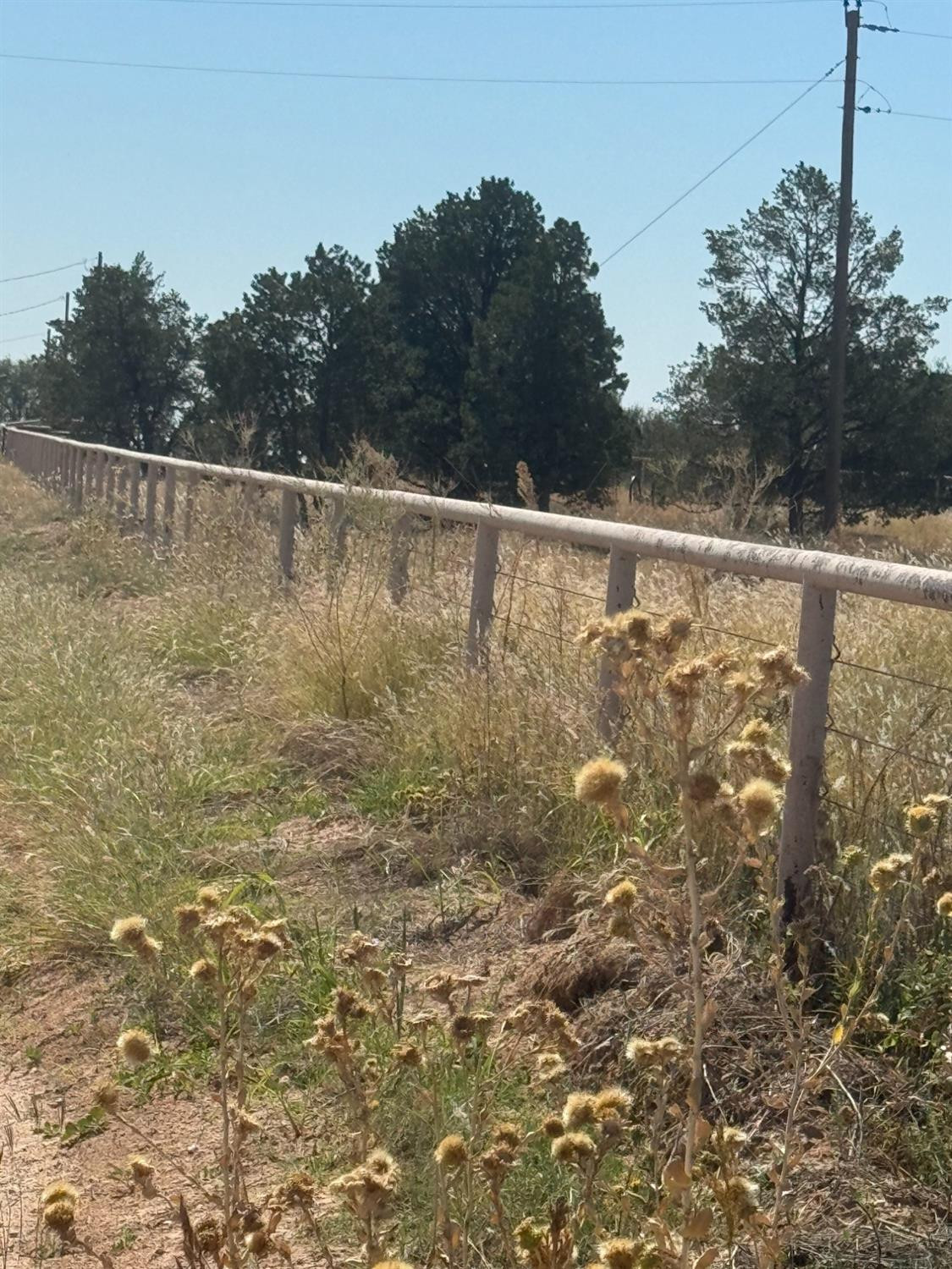 0 Fm 1264 Lubbock, TX 79415 - Photo 7 of 13 a view of a pathway in a yard