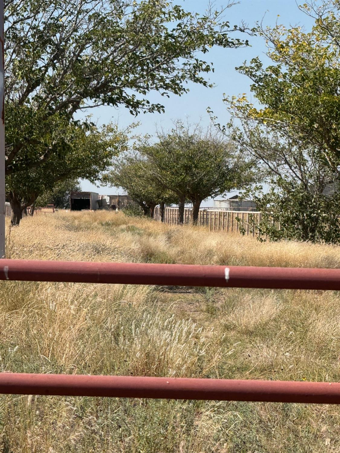 0 Fm 1264 Lubbock, TX 79415 - Photo 8 of 13 a view of a yard with wooden fence