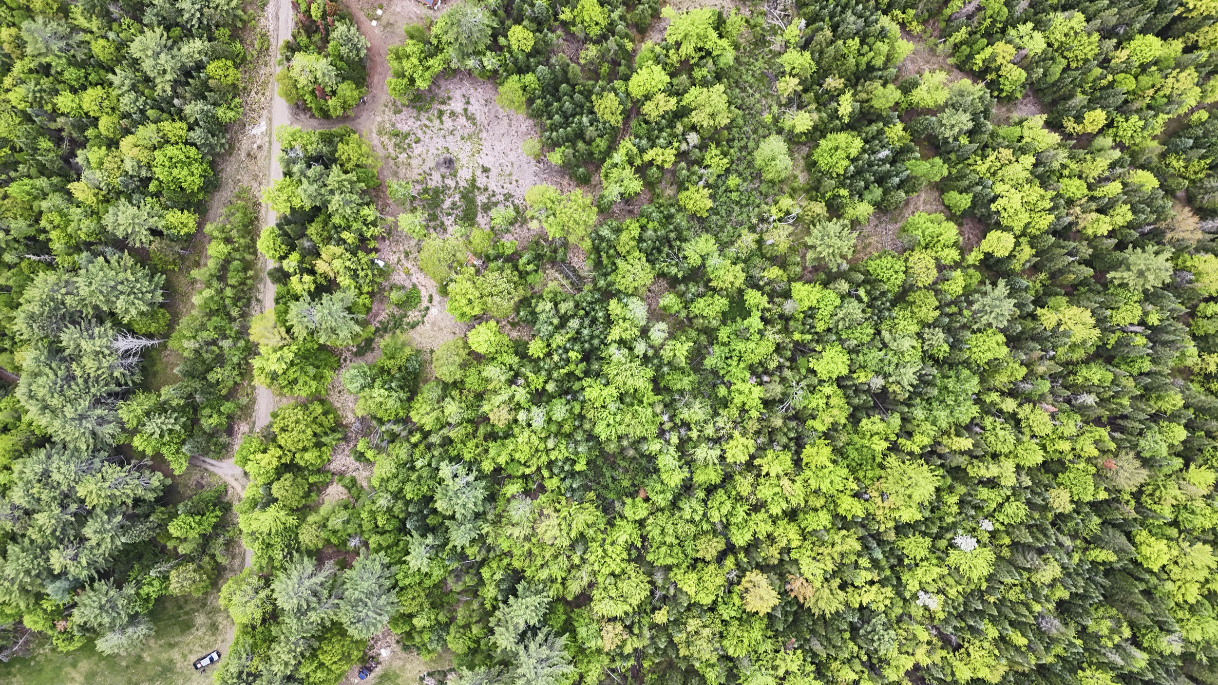 M2-l21-2 South Ridge Road Palmyra, ME 04965 - Photo 2 of 5 363_s_ridge_rd_vacant_lot_1-4