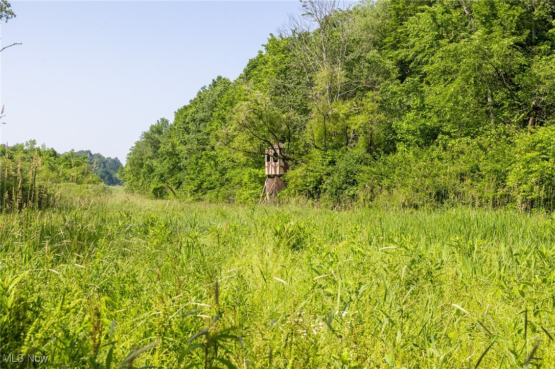 Azalea Road Dennison, OH 44621 - Photo 5 of 50 View of woods