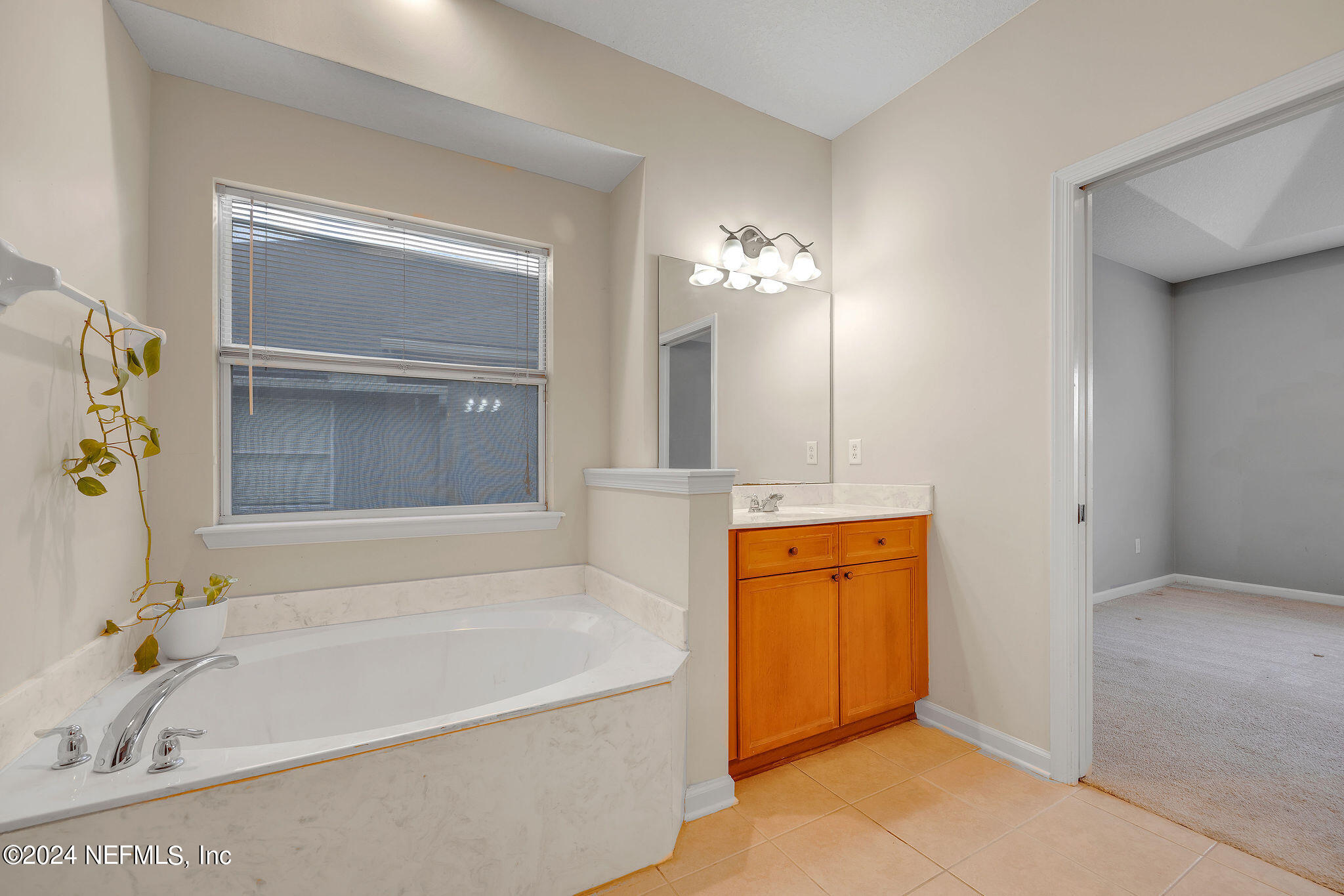737 Porta Rosa Circle St. Augustine, FL 32092 - Photo 67 of 75 a bathroom with a tub a sink and mirror