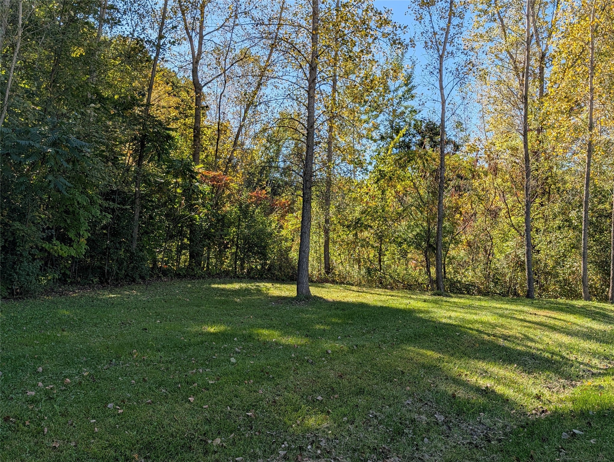 5060 County Rd BB Menomonie, WI 54751 - Photo 8 of 29 Gallery Image 8