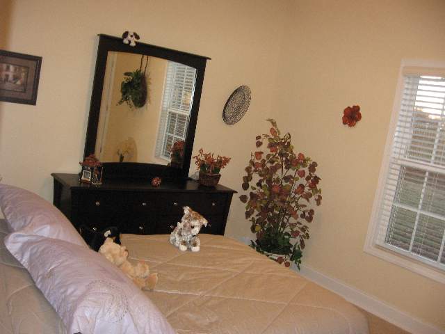 205 Forked Oak Way Fountain Inn, SC 29644 - Photo 22 of 22