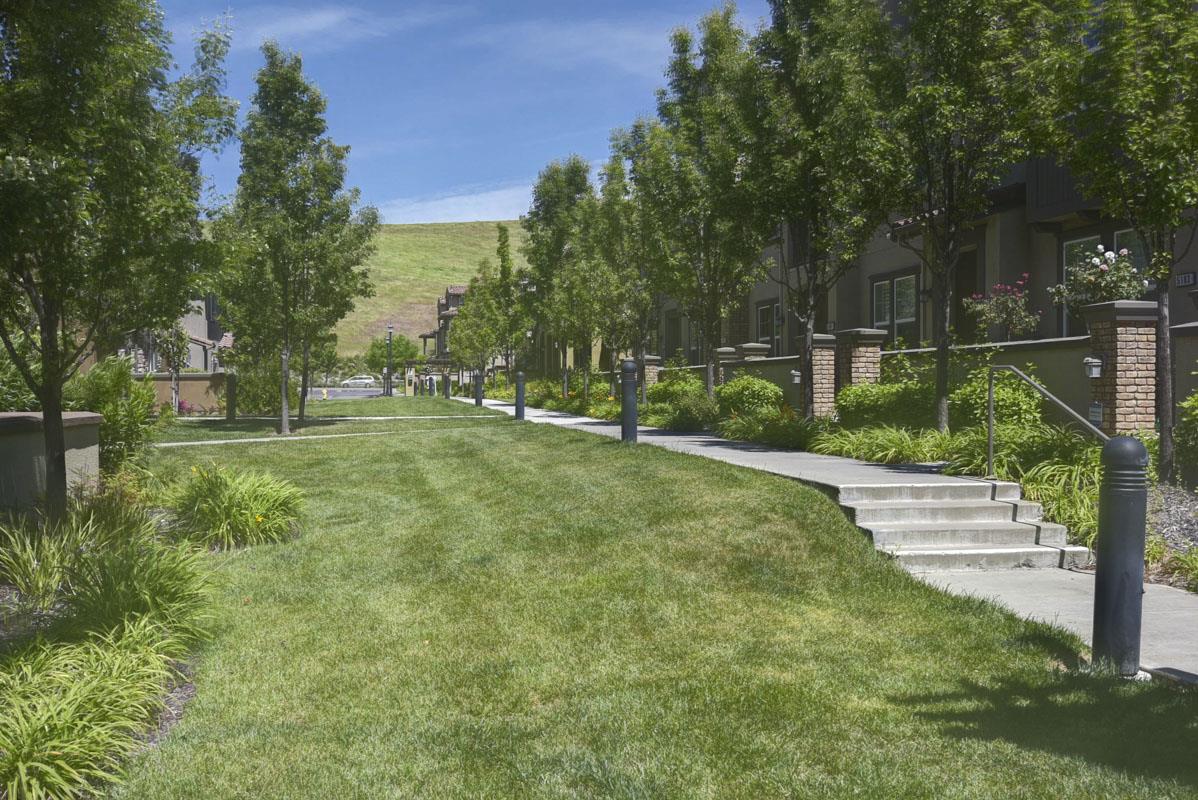 5373 Fioli Loop San Ramon, CA 94582 - Photo 29 of 31 a view of a park with large trees