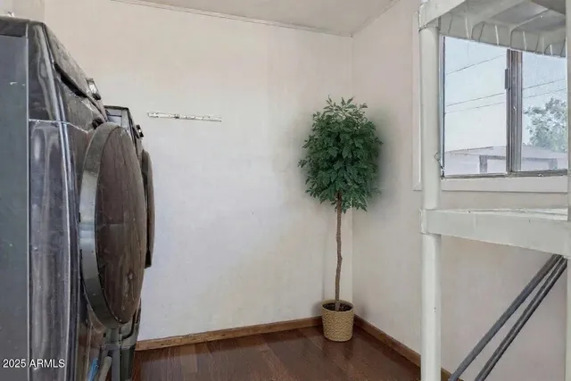 a view of walk in closet with a potted plant