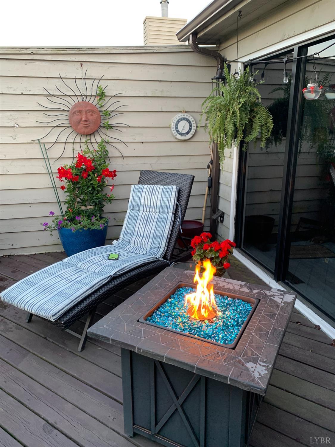 240 Shaker Lane Forest, VA 24551 - Photo 45 of 54