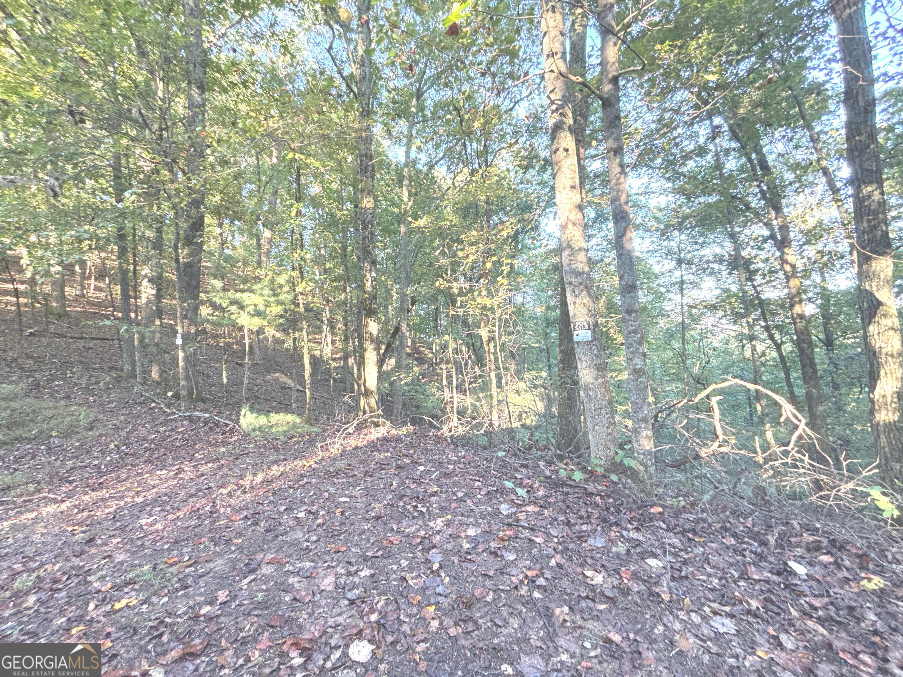 122 Adair Drive Ranger, GA 30734 - Photo 1 of 10