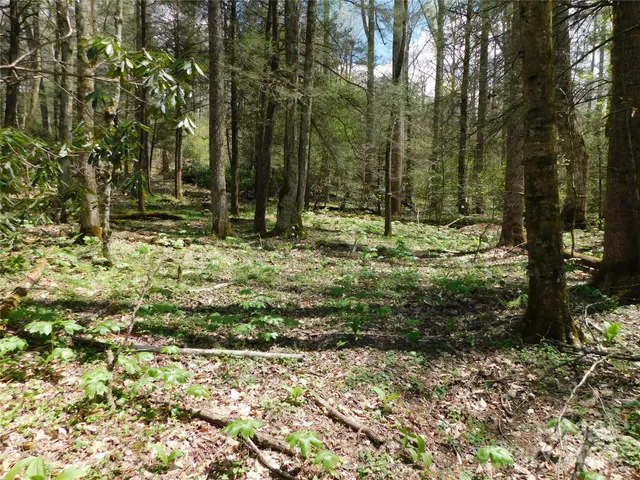 $49,500 | Tbd Black Bear Trail, Unit 26, Newland, NC 28657