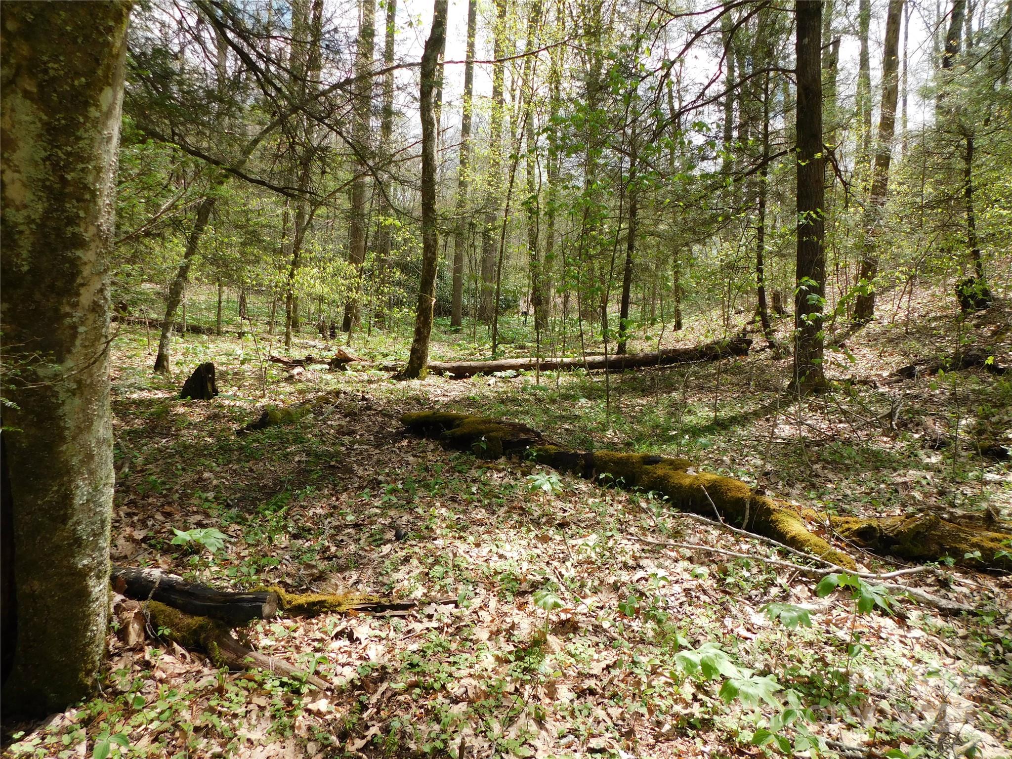 Tbd Black Bear Trail, Unit 26 Newland, NC 28657 - Photo 5 of 9