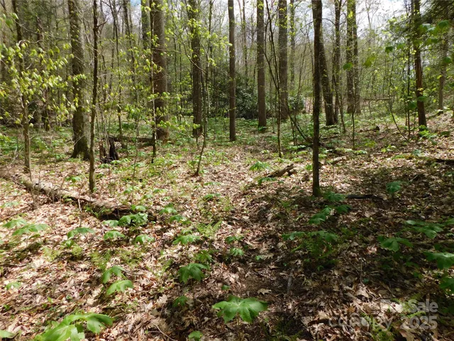 $49,500 | Tbd Black Bear Trail, Unit 26, Newland, NC 28657