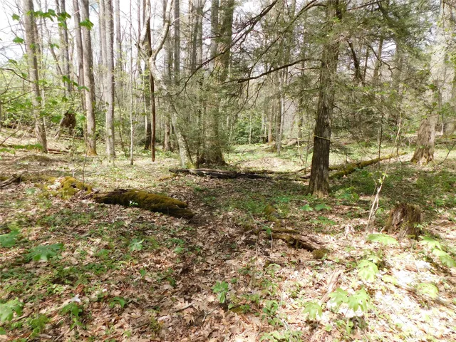 $49,500 | Tbd Black Bear Trail, Unit 26, Newland, NC 28657