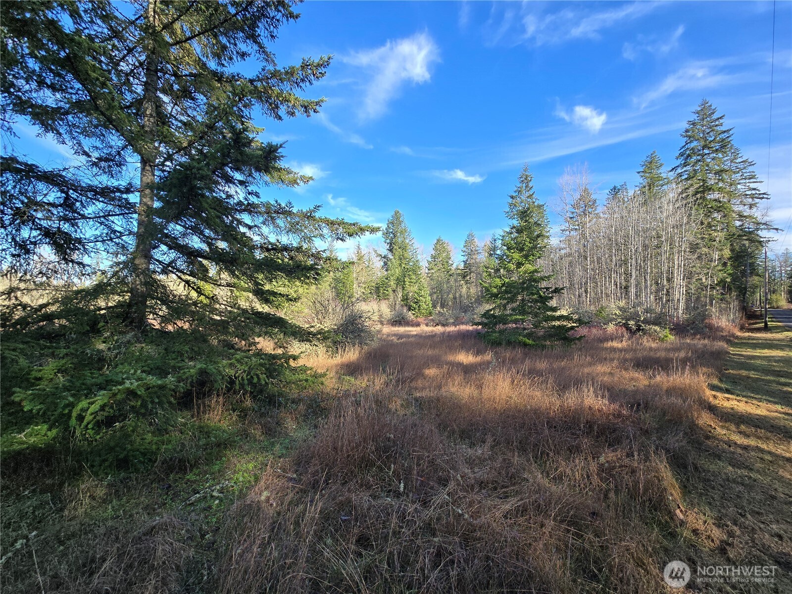 9999 Autumn Road Sequim, WA 98382 - Photo 12 of 16 Gallery Image 12