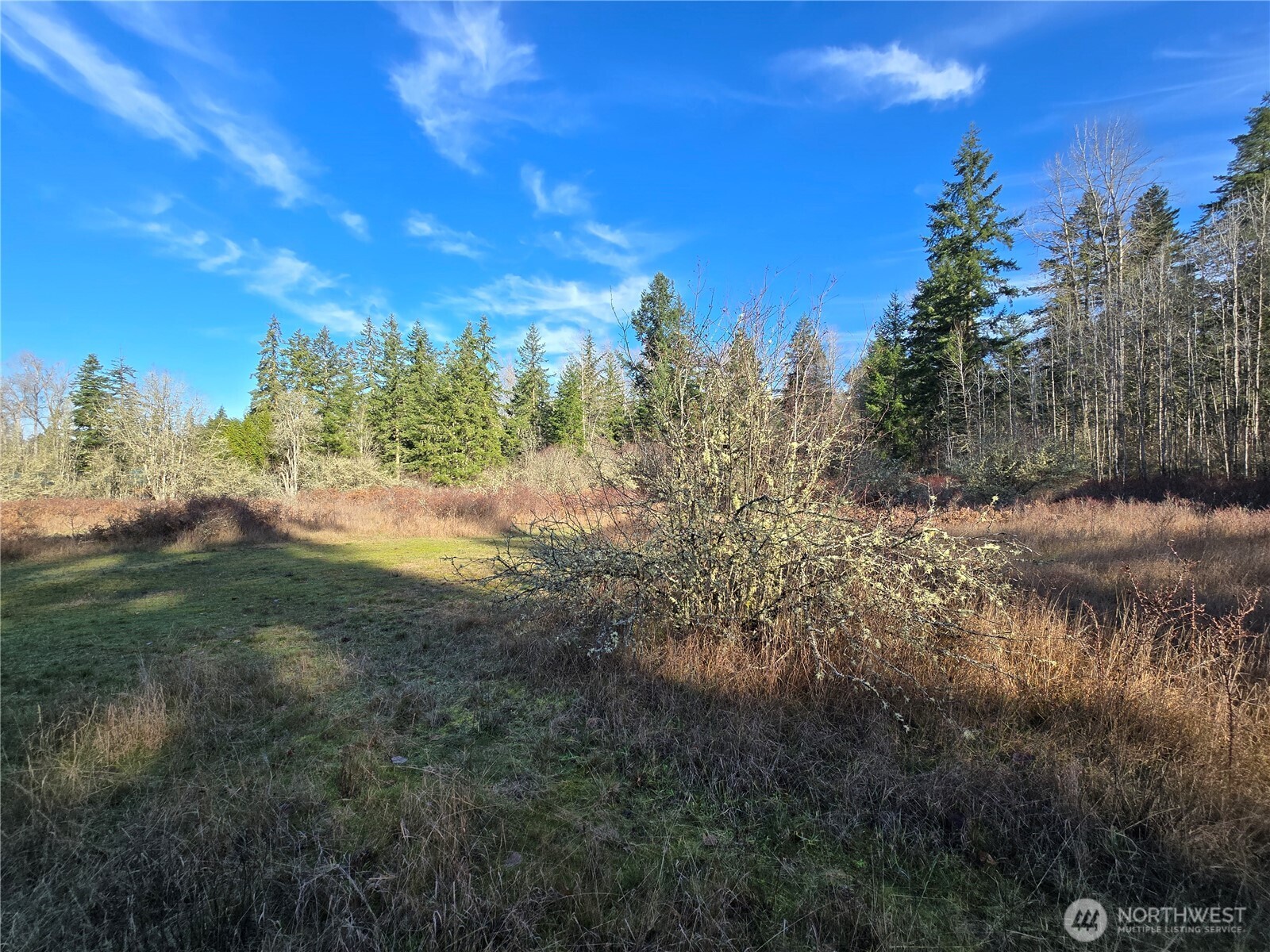9999 Autumn Road Sequim, WA 98382 - Photo 5 of 16 Gallery Image 5