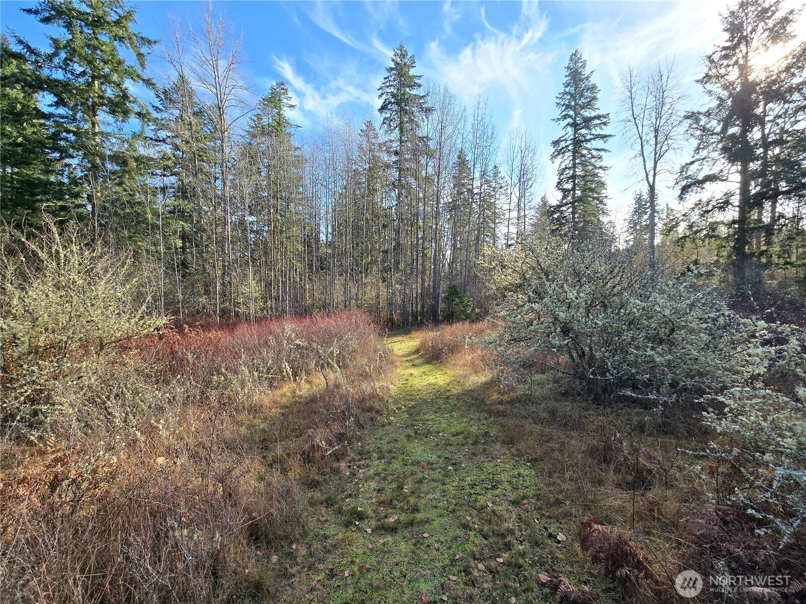 9999 Autumn Road Sequim, WA 98382 - Photo 6 of 16 Gallery Image 6