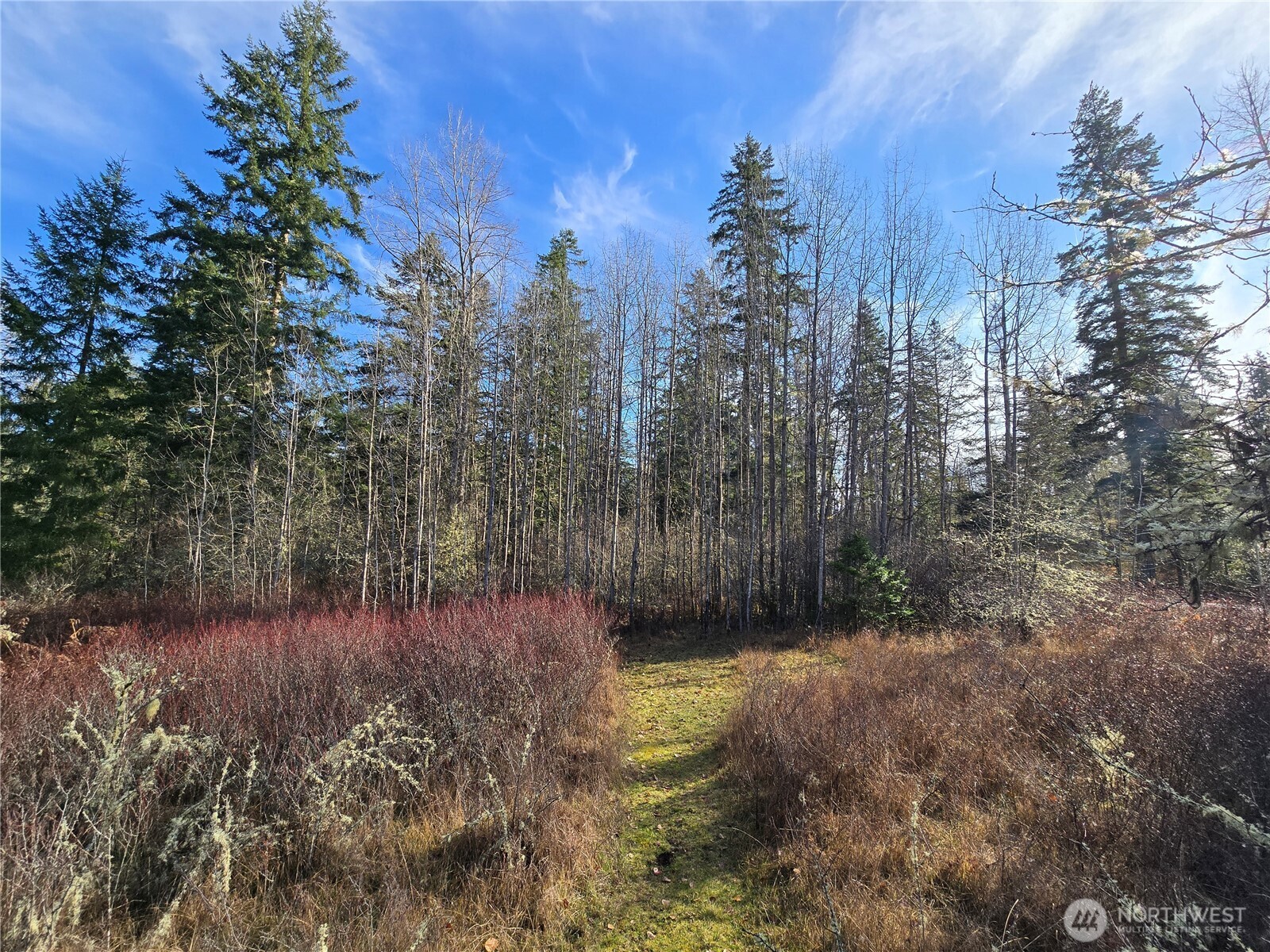 9999 Autumn Road Sequim, WA 98382 - Photo 7 of 16 Gallery Image 7