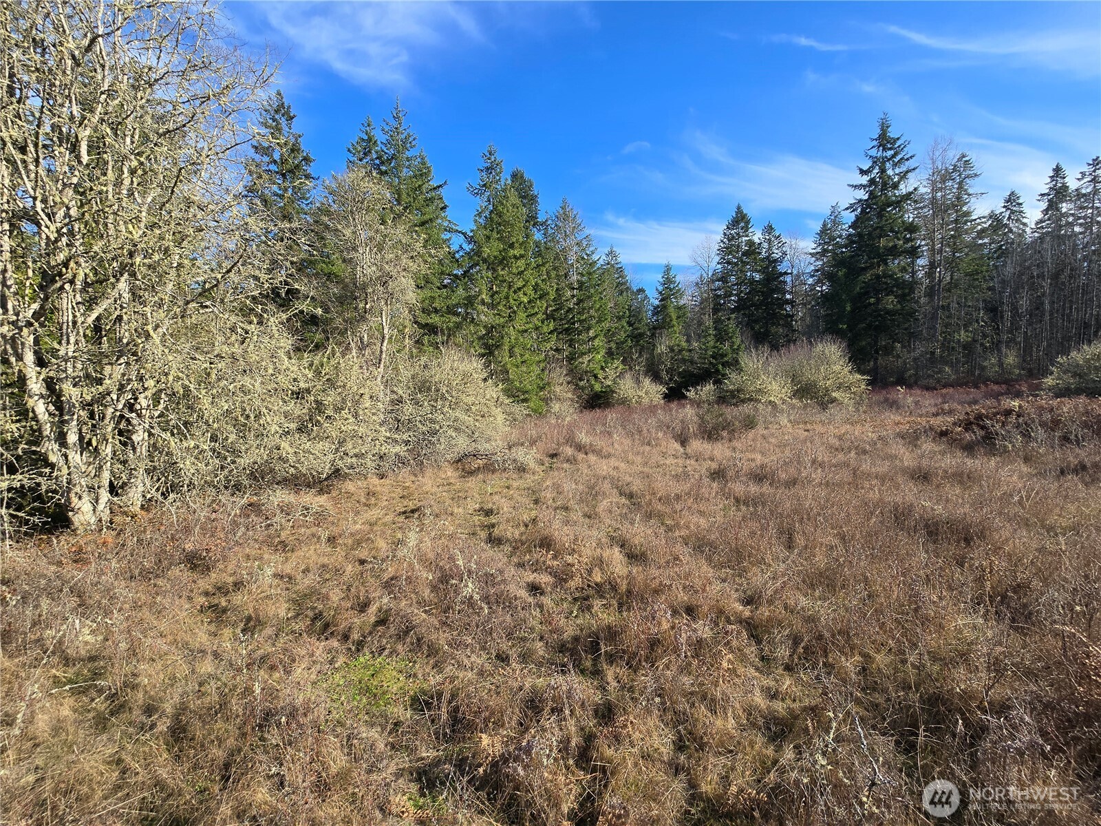 9999 Autumn Road Sequim, WA 98382 - Photo 9 of 16 Gallery Image 9
