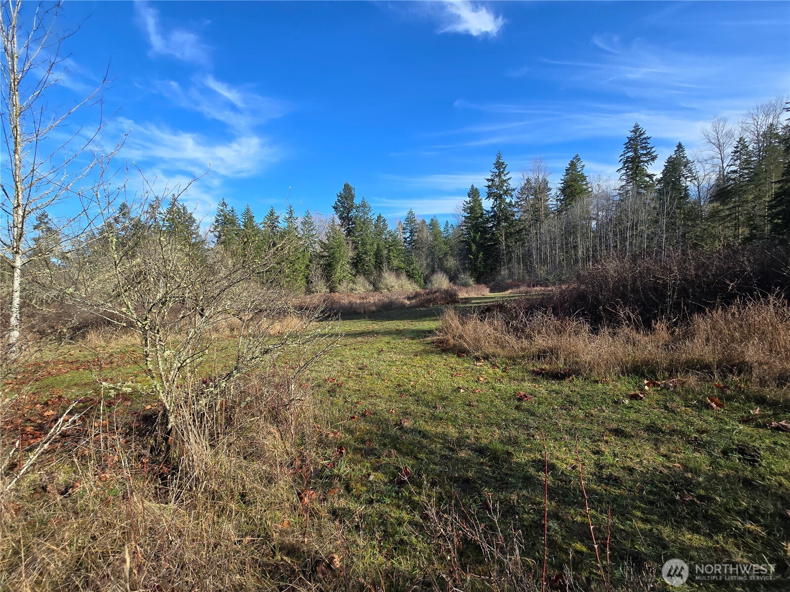 9999 Autumn Road Sequim, WA 98382 - Photo 10 of 16 Gallery Image 10