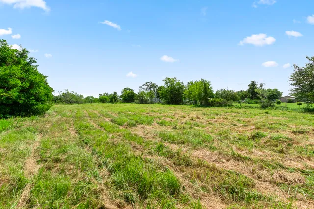 a view of a grassy field with trees in the background