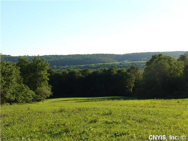 Lot # Stevens Road Homer, NY 13077 - Photo 1 of 1 Land