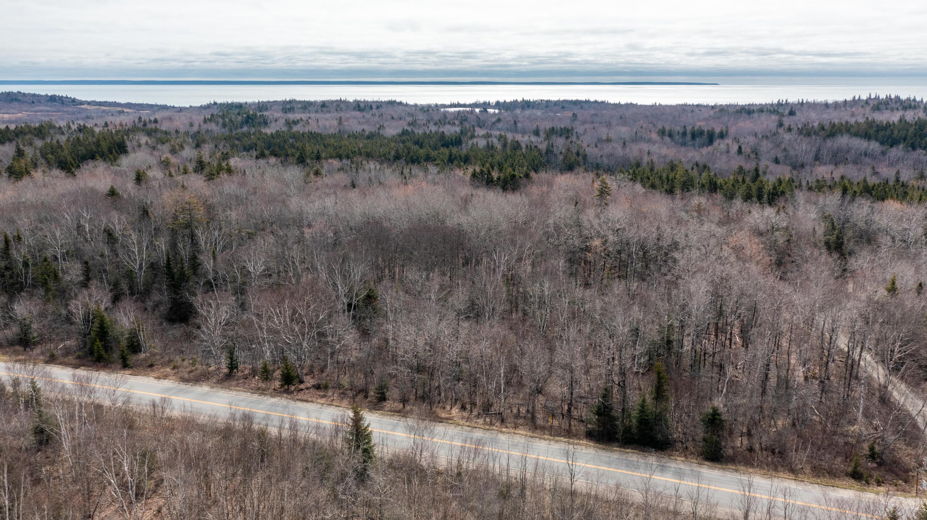 Lot 4 Lot Road Cutler, ME 04626 - Photo 21 of 22 Lot 4A Number Nine Road boundary (37 of