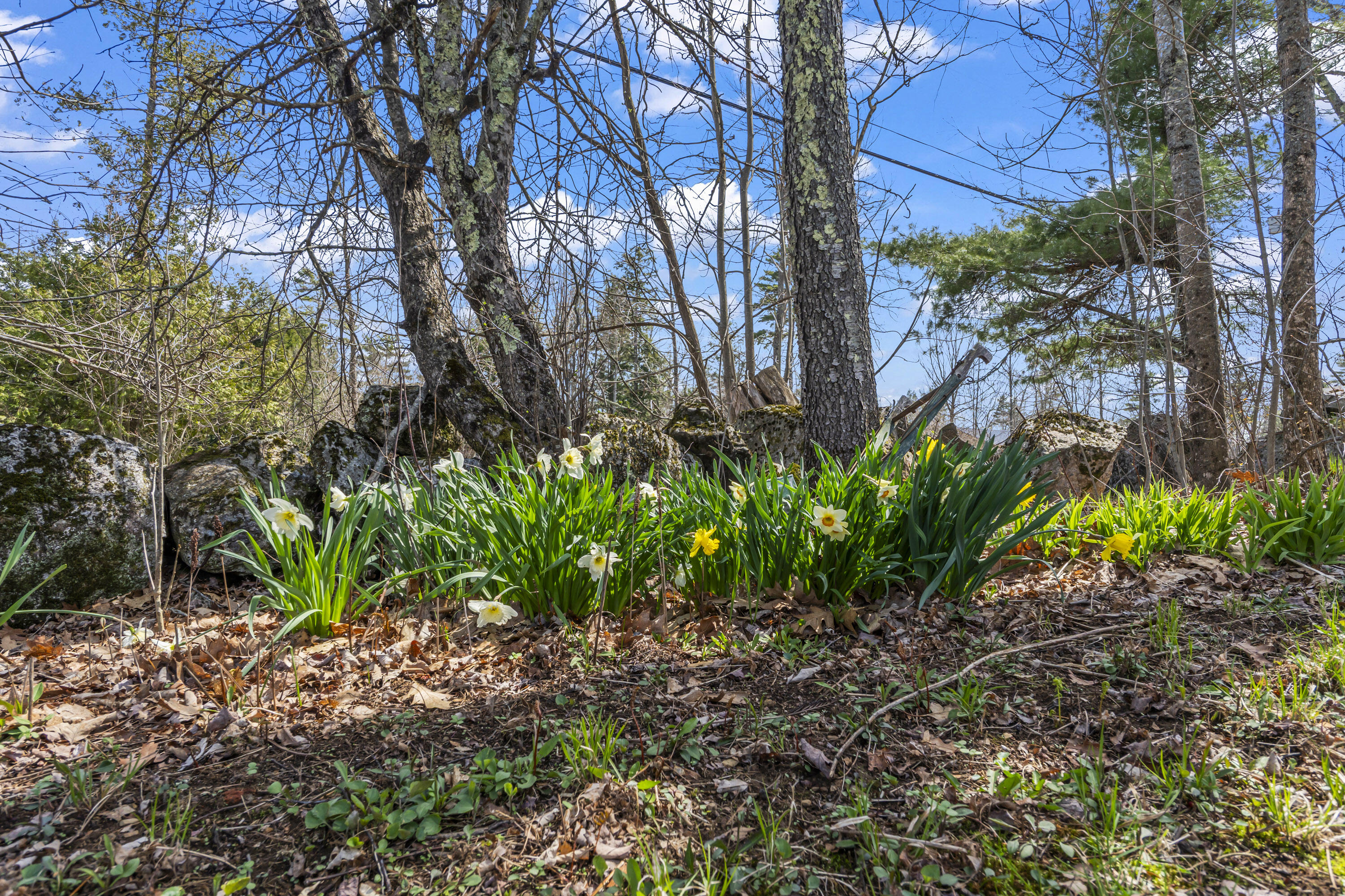 190 Somerville Road Jefferson, ME 04348 - Photo 73 of 110 photos_high_resolution_190_Somerville_Rd