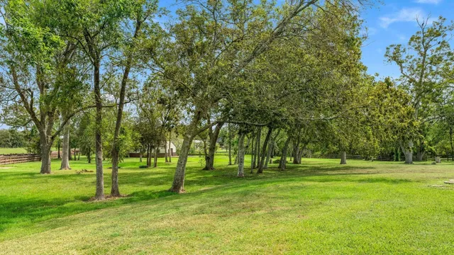 a huge green field with lots of trees