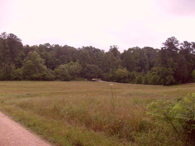 0 Wood Yates Road Ringgold, GA 30736 - Photo 1 of 1 Main View