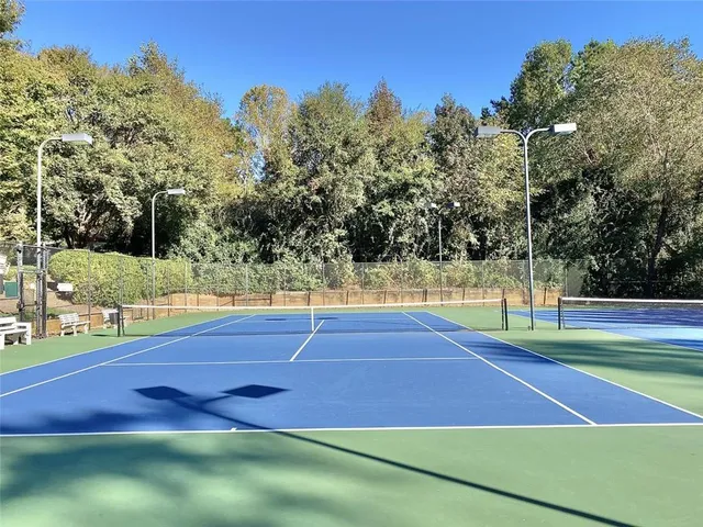 a view of a park with large trees