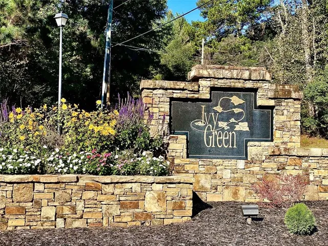 a view of a garden with plants
