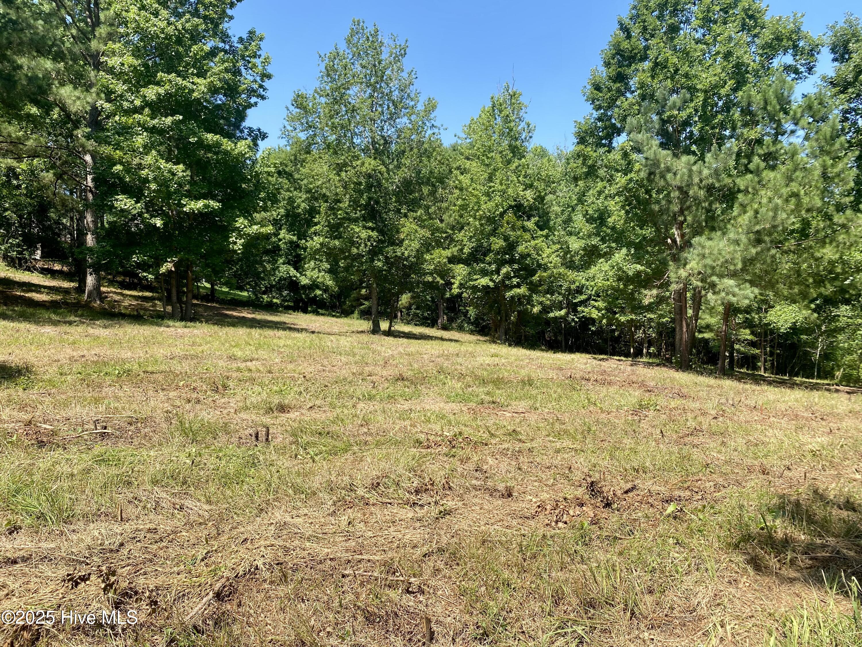 291 Gails Road West End, NC 27376 - Photo 10 of 10 partially cleared