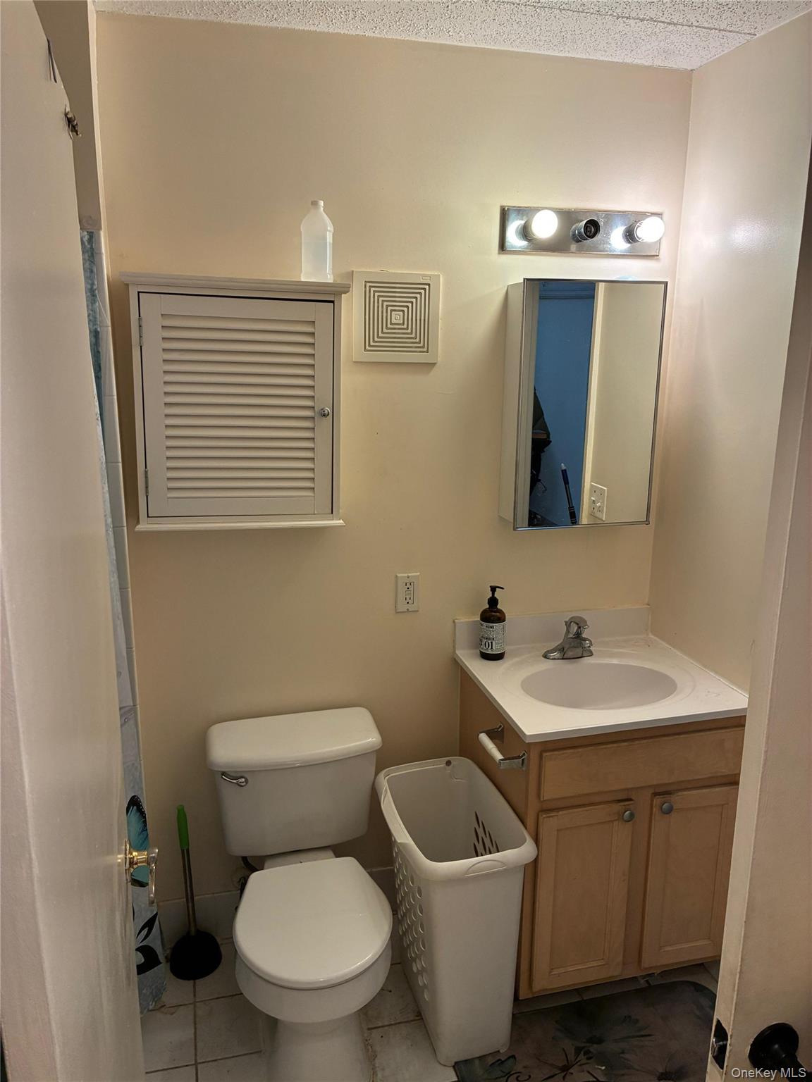 21 Renaissance Court Brooklyn, NY 11206 - Photo 9 of 21 a bathroom with a toilet sink and mirror